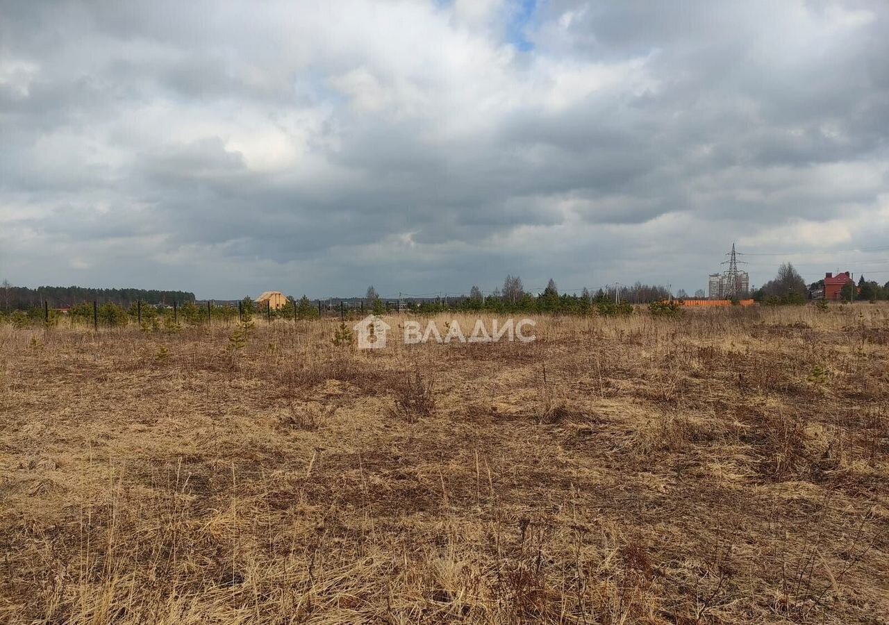 земля городской округ Богородский г Ногинск ул Богородская 37 км, Горьковское шоссе фото 2