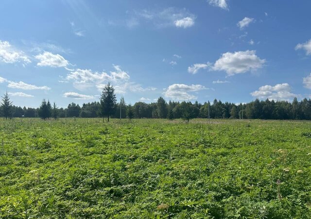 земля городской округ Клин д Вертково 69 км, Новопетровское, Новорижское шоссе фото