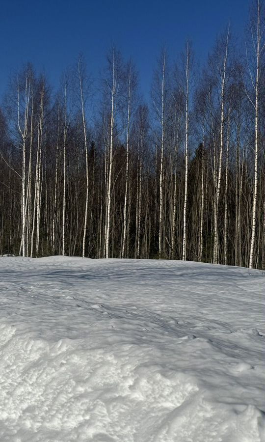 земля г Добрянка д Бобки ул Чайковская Пермь фото 3