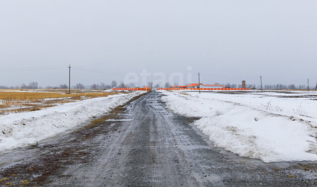 д Щучья ул Красноармейская фото