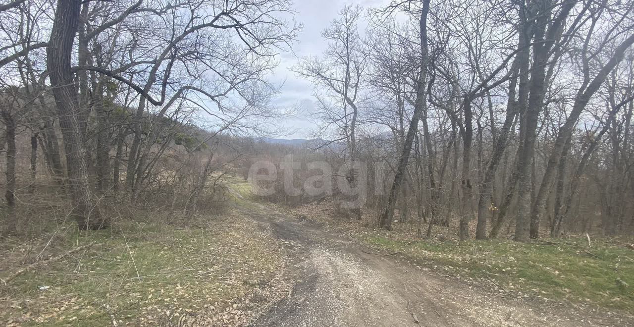 земля г Феодосия с Краснокаменка ул Ленина Судак фото 16