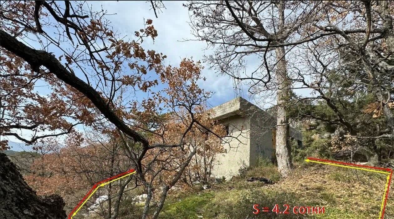 земля г Ялта п Линейное ул Шоссейная фото 4