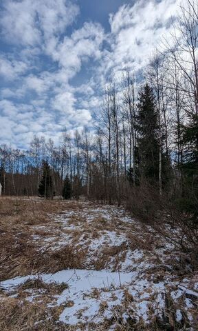 земля р-н Калининский снт Урожай Тверь фото