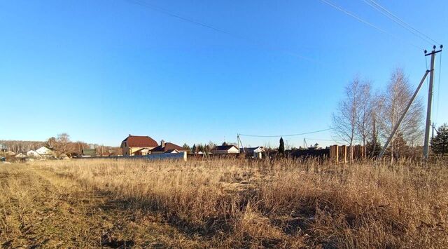 с Шкинь Коломна городской округ фото