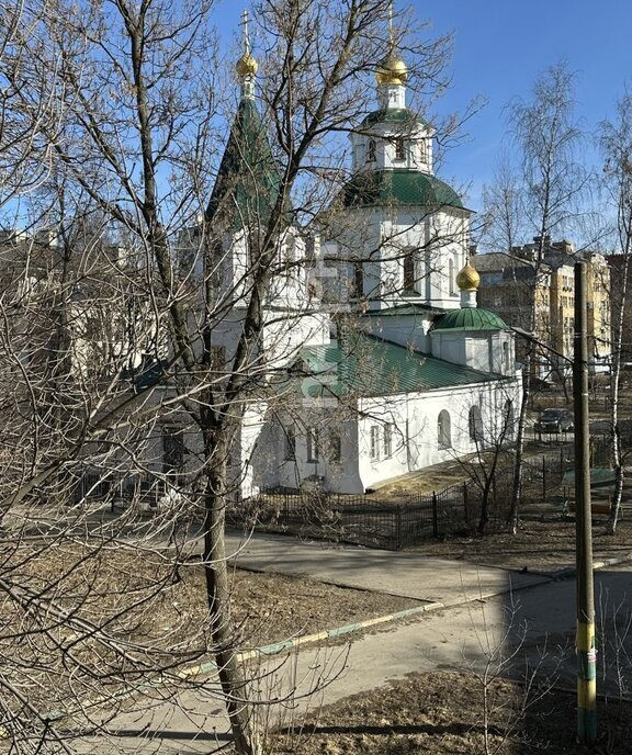 квартира г Нижний Новгород р-н Нижегородский Горьковская ул Заломова 11 фото 2