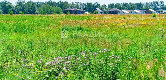 ул Горького Железнодорожная фото