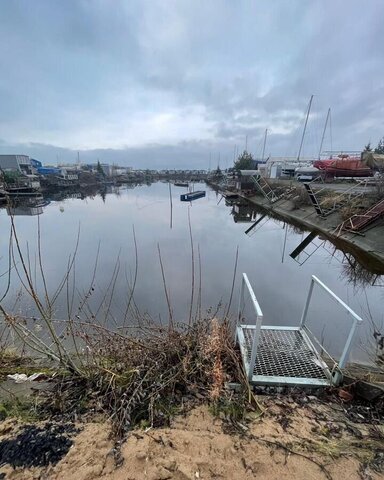 р-н Красносельский муниципальный округ Сосновая Поляна фото