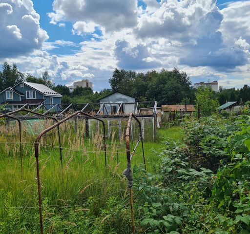 городской округ Пушкинский 17 км, ОНТ Восход-2, 35, Ивантеевка, Ярославское шоссе фото