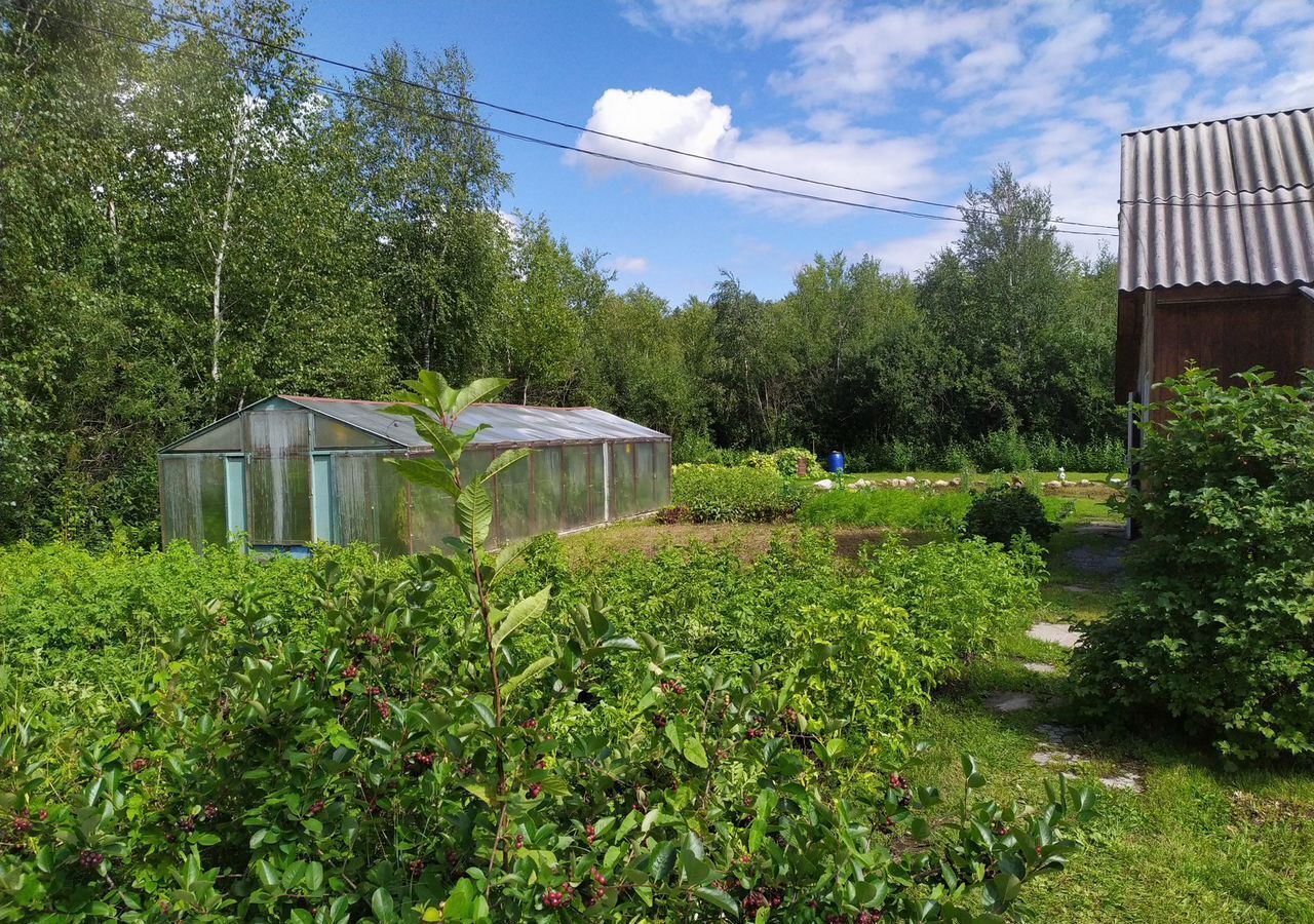 дом г Новосибирск р-н Советский Бердское шоссе, река Ельцовка фото 7