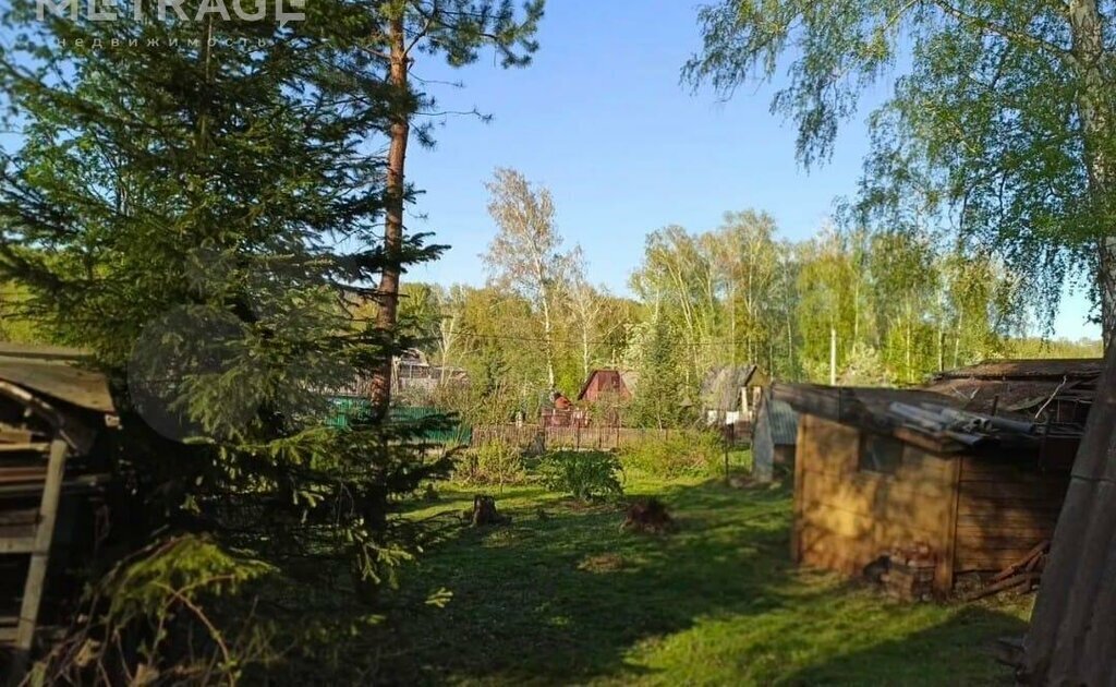 земля г Новосибирск р-н Советский Студенческая снт Заря 80 фото 4