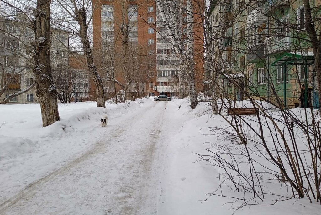 квартира г Новосибирск р-н Заельцовский Гагаринская пр-кт Красный 85/1 Кропоткинский жилмассив фото 12