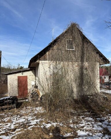 Сосновоборский г. о. фото