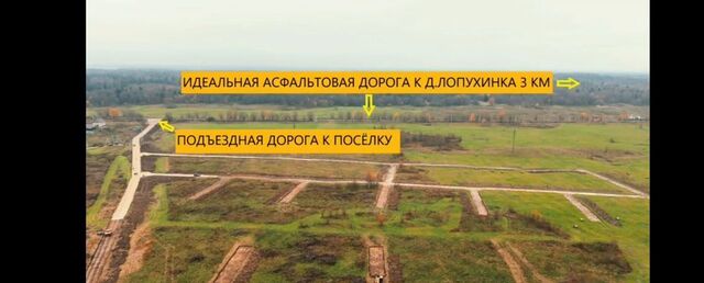 д Лопухинка Таллинское шоссе, 23 км, Лопухинское сельское поселение, Гостилицы фото