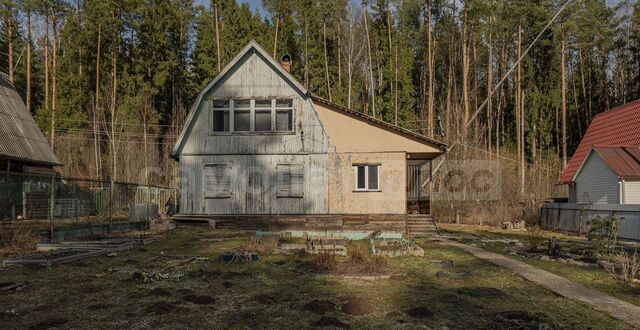 52 км, садовое товарищество Плехановец, 76, Наро-Фоминск, Киевское шоссе фото