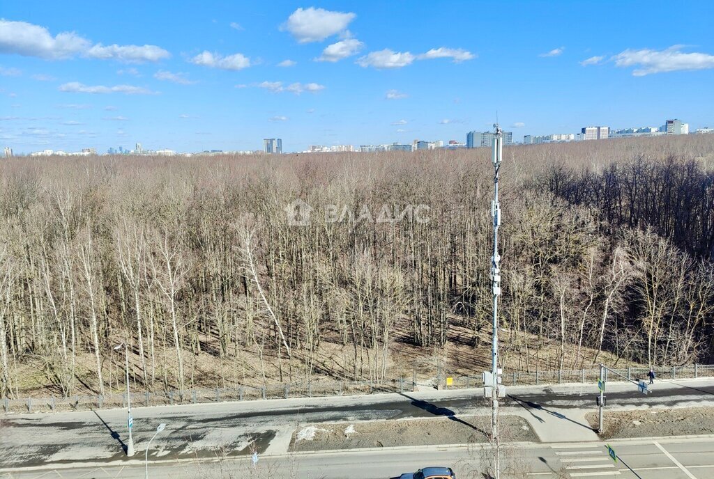 квартира г Москва ул Тёплый Стан 9к/1 Улица Генерала Тюленева фото 14