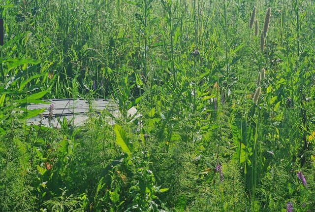 земля г Новосибирск метро Площадь Гарина-Михайловского ул Пригородная микрорайон Идиллия, село Гусиный Брод фото