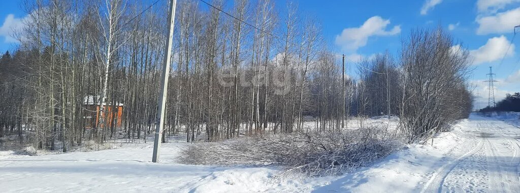 земля г Томск п Родионово ул Магистральная фото 1