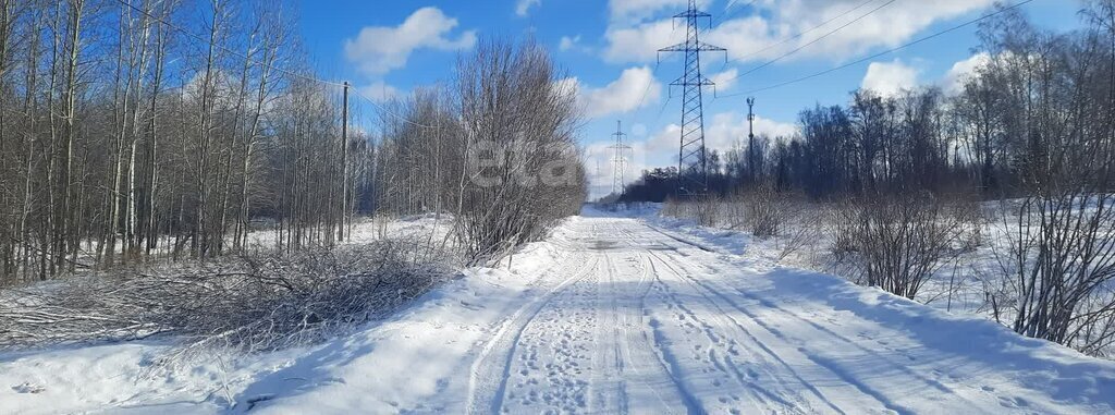 земля г Томск п Родионово ул Магистральная фото 2