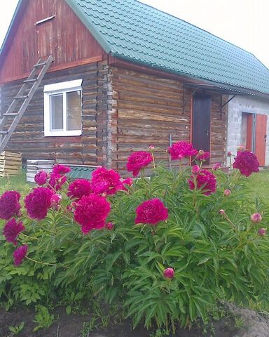 д Кандинка ул Кедровая Томск фото