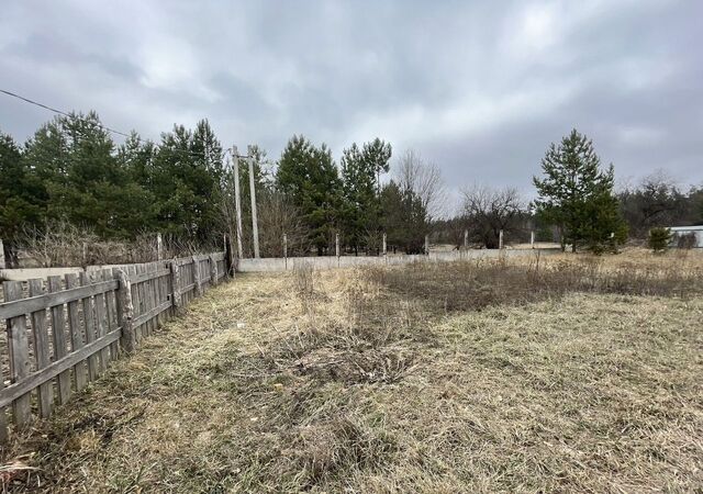 п Бор Рамонское городское поселение, Воронеж фото