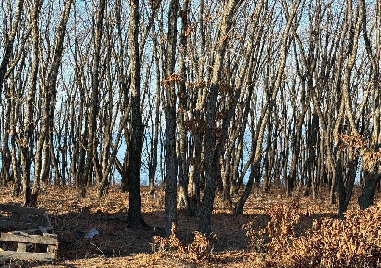 дом г Находка Находкинский г. о. фото 5