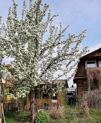 снт Обские Зори муниципальное образование Краснообск, 9-я ул, Новосибирск фото