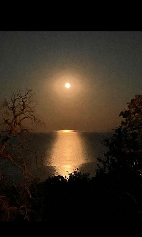 земля г Ялта п Олива ул Перевальная г Алупка фото 3