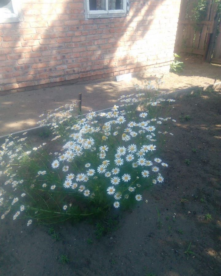 дом г Абакан дачный район Подсинее, ул. Победы, 80 фото 8