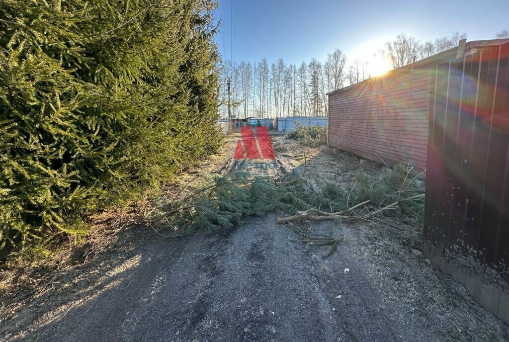 земля р-н Ярославский д Гаврилово фото 1
