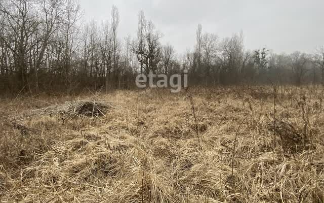 земля трасса Саратовская - Горячий Ключ, 12-й километр фото