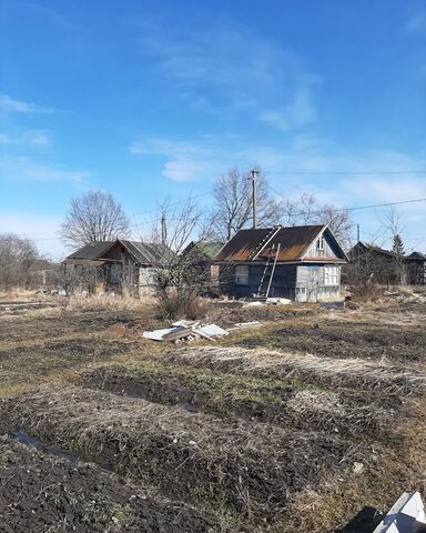 р-н Новгородский Ермолинское сельское поселение, садоводческий массив № 4, СТ Багульник, Великий Новгород фото