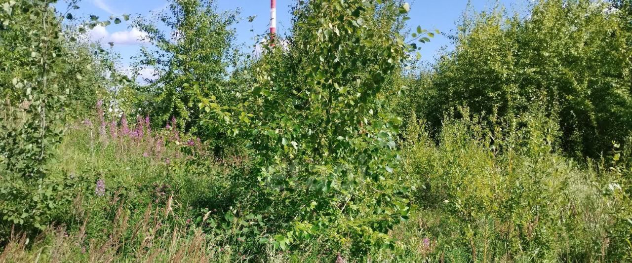 свободного назначения г Сыктывкар ул Орджоникидзе 107 фото 14