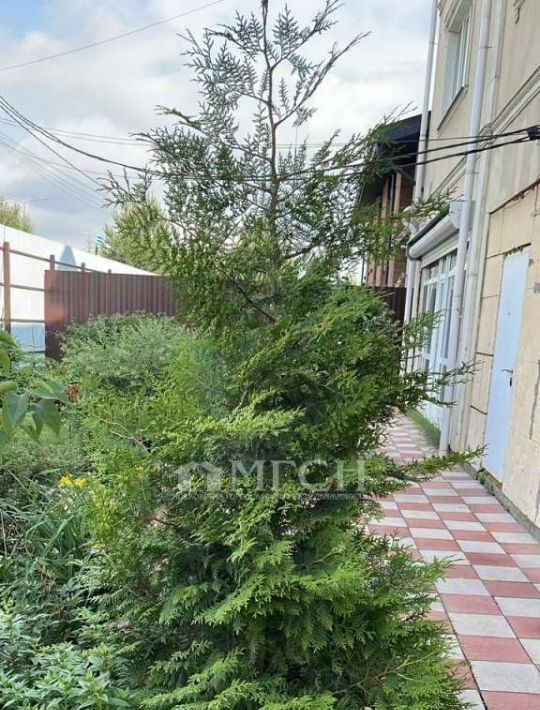 квартира г Москва п Сосенское д Ларево ул Зимёнковская 41 Летово фото 3
