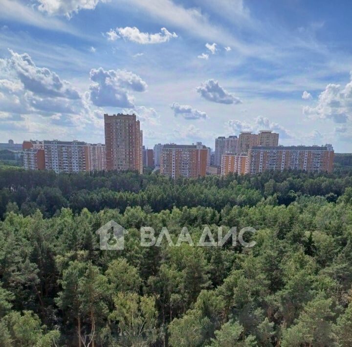 квартира г Балашиха микрорайон «Щитниково Изумрудный» Изумрудный кв-л, Щёлковская фото 15