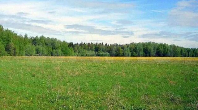 земля п Луговой ул Медовая Поспеловское сельское поселение фото