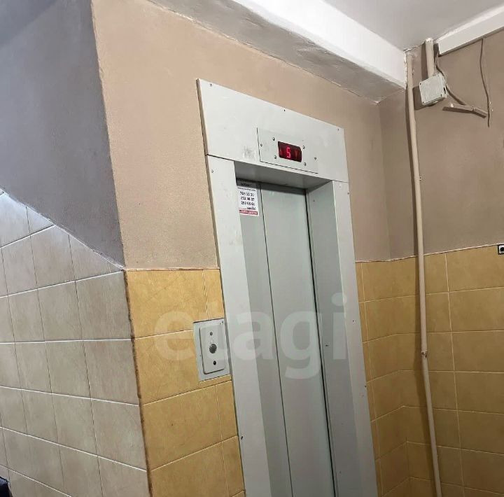 квартира г Санкт-Петербург метро Гражданский Проспект ул Тимуровская 30к/1 фото 26