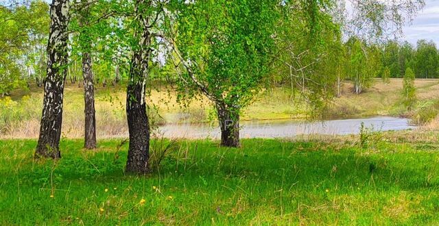 земля тер. ДНТ Каменский оазис Каменский сельсовет, Новосибирск фото