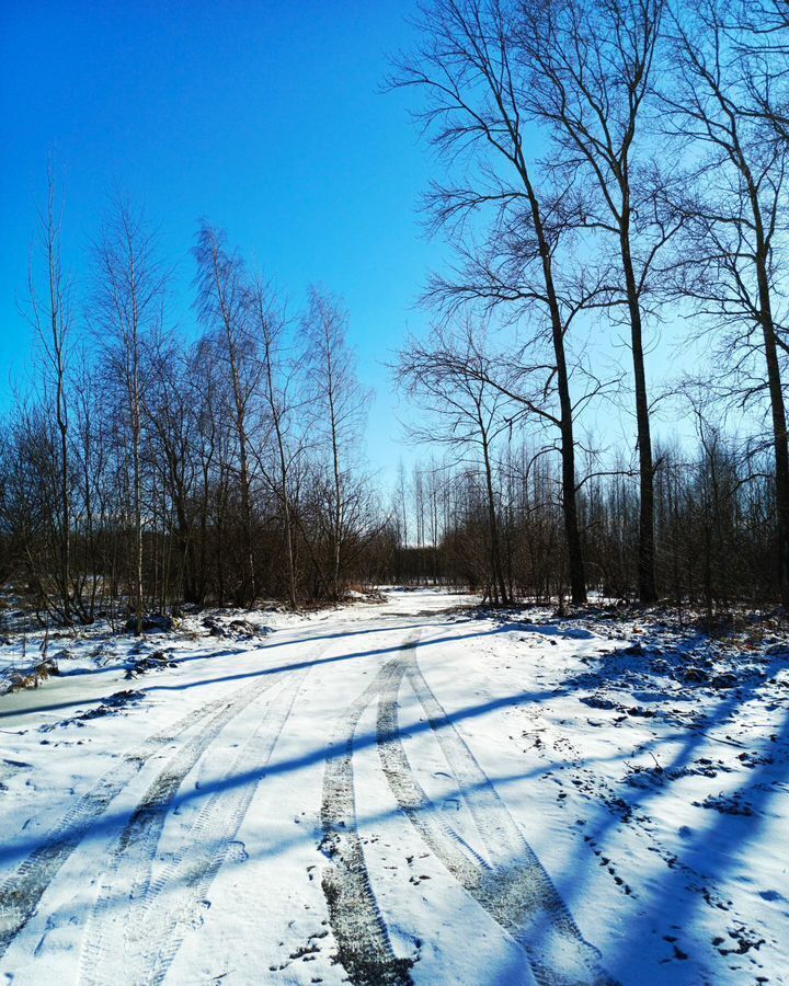 земля г Череповец р-н Зашекснинский 122-й мкр-н фото 2