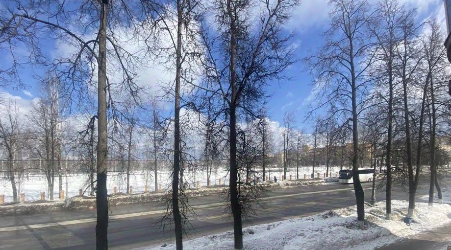 квартира г Березники пр-кт Советский 46 фото 13
