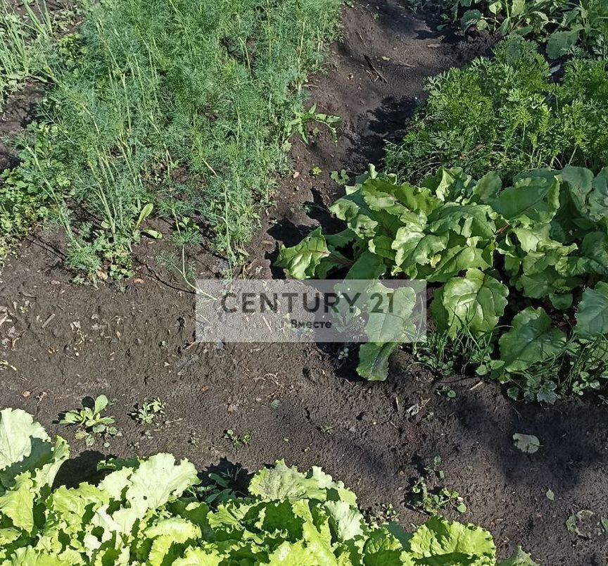 земля г Клин ул Терешковой 2 84 км, городской округ Клин, Решетниково, Ленинградское шоссе фото 25