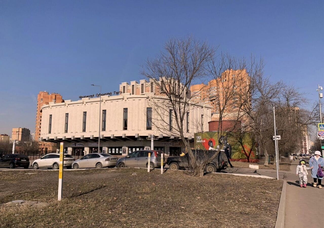 квартира г Москва метро Кузьминки пр-кт Волгоградский 106к/1 фото 25