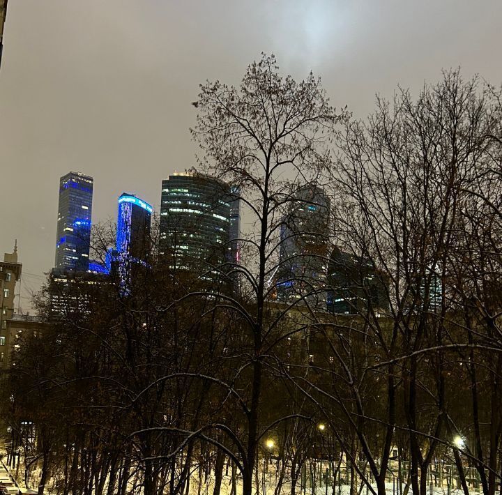 квартира г Москва метро Кутузовская пр-кт Кутузовский 30 фото 26