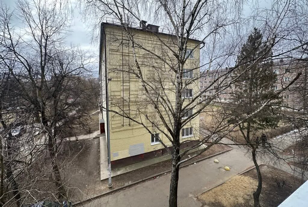 квартира г Воскресенск Центральный ул Менделеева 15 Раменское фото 13