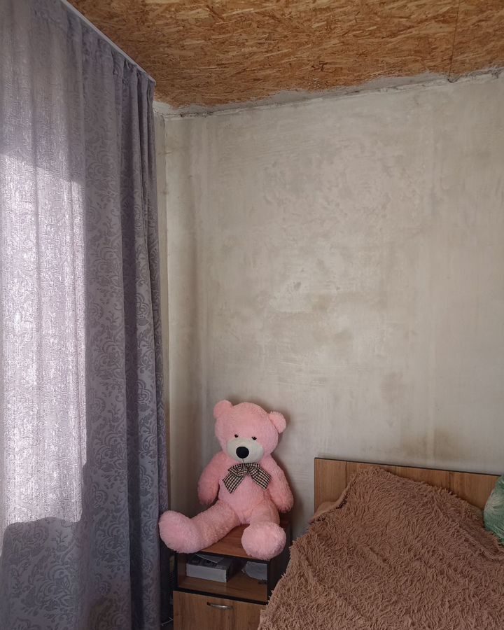 дом г Барнаул п Мохнатушка р-н Центральный Лебяжье фото 2