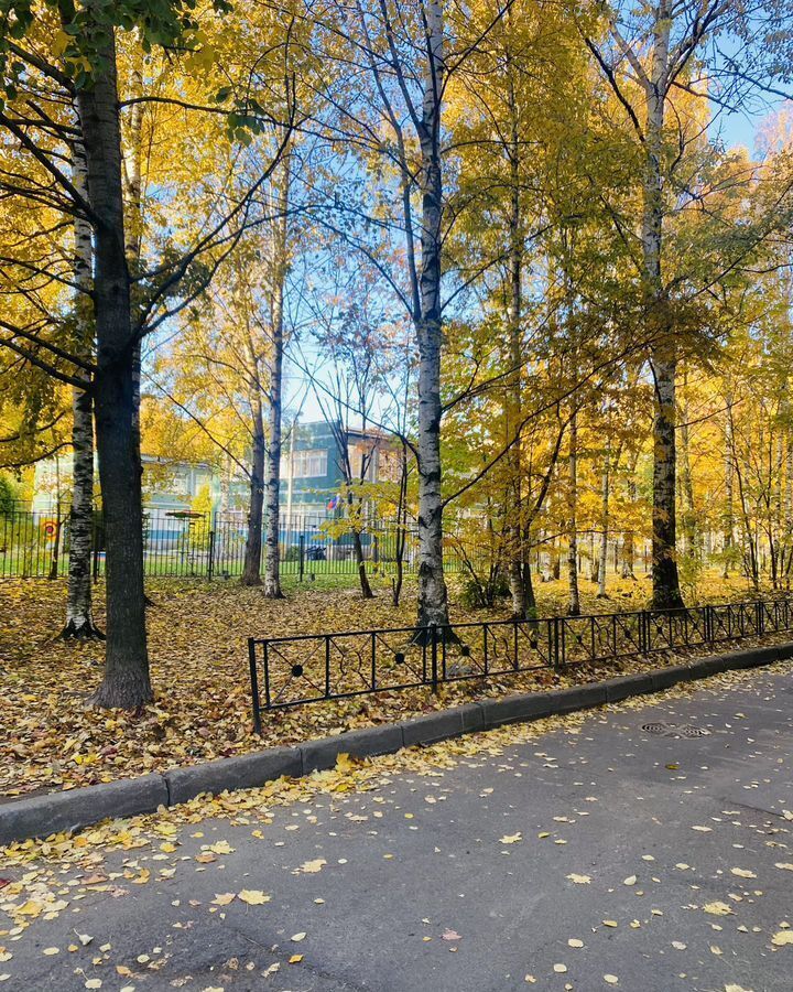 комната г Санкт-Петербург метро Проспект Просвещения пр-кт Культуры 26к/3 фото 17