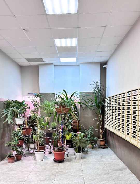 квартира г Королев ул Ленина 25б Медведково фото 24