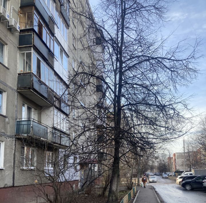 квартира г Нижний Новгород Московская ул Генерала Зимина 4 фото 25