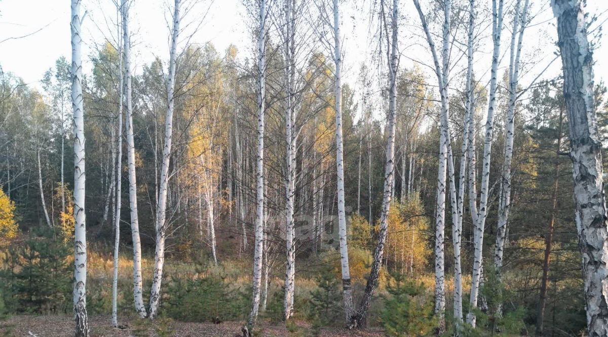 офис г Первоуральск фото 1