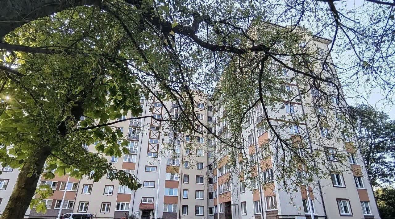 квартира г Калининград р-н Московский ул Дзержинского 165 фото 19