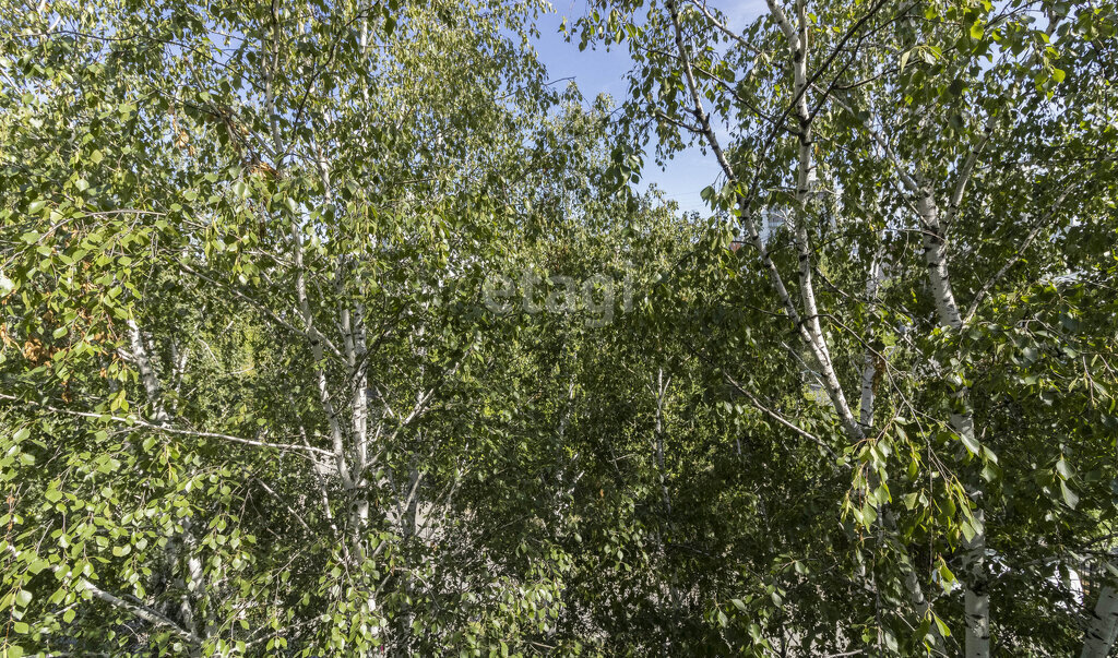 квартира г Тюмень ул Монтажников 15 фото 13